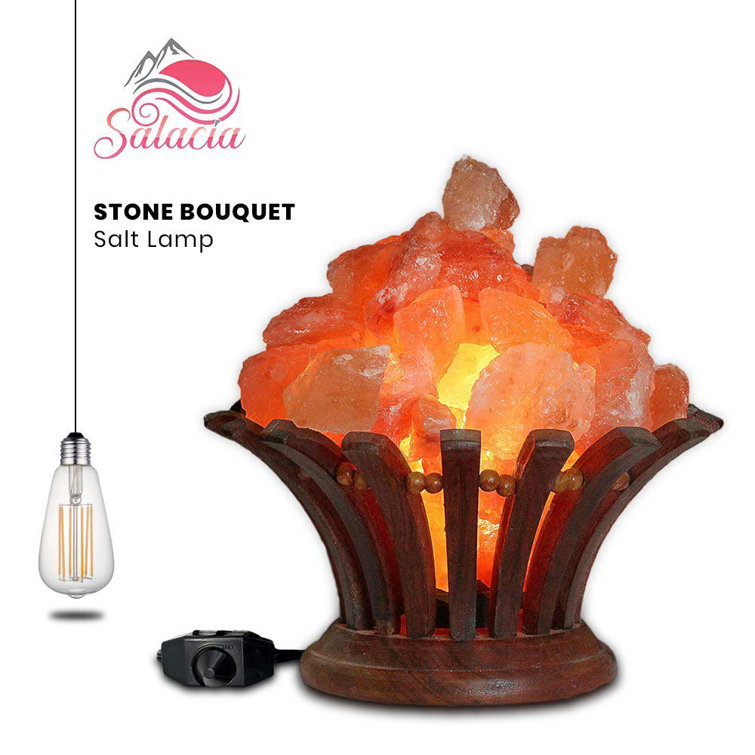 Dakota Fields Stone Bouquet Himalayan Salt Lamp Bowl With Dimmer Cord